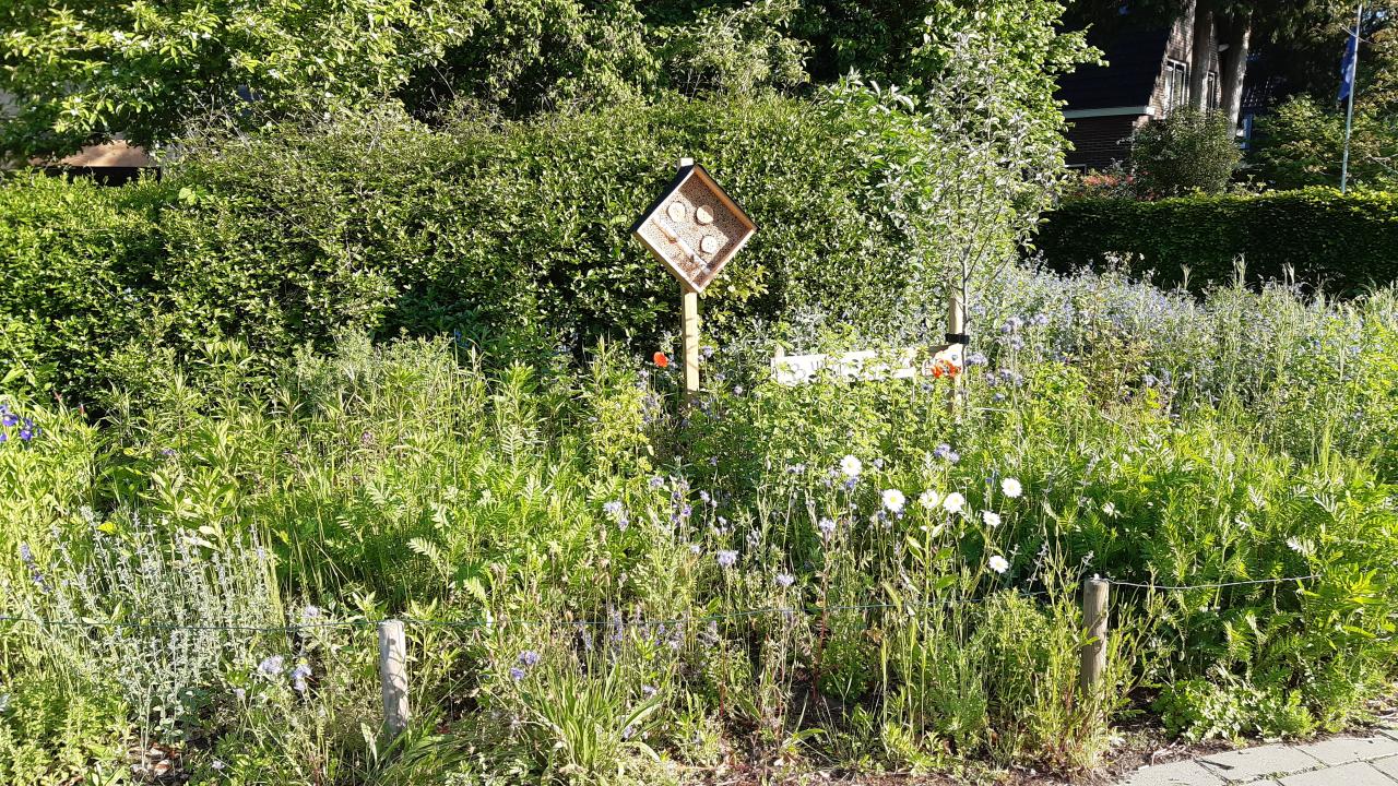 Bijenplantsoen Bosweg.jpg
